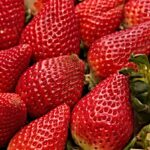 Seafood Market Nutrition Labels: Decoding Health Claims