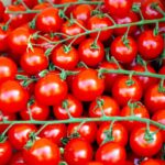 Exploring Seafood Market Culinary Tourism Destinations