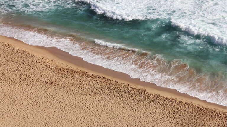 How To Do Cricbet99 App Download For Android Safely?