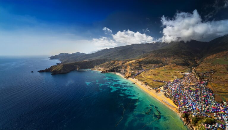 playinexch login india