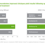 Understanding Reddy Book Win: A Complete Guide to the Platform, Its ID System, and How It Rewards Readers