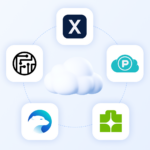 11 Exchange Review: Features, Security, and Future of the Leading Betting Platform